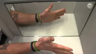 Biologie des Menschen // Reflexe und Selbstwahrnehmung