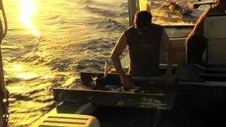 Jared Serign&eacute; - Video Reel