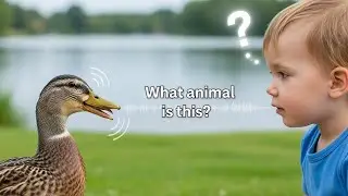 Play & Guess 🧩 Animal English Learning Game