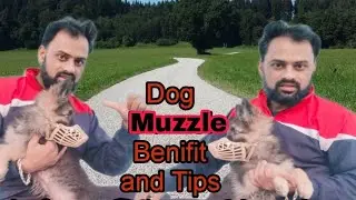 The Mouth Cover Of Dog |Muzzle For Dog | Tips And Benefits
