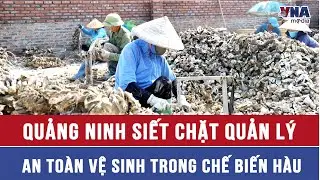Quảng Ninh siết chặt quản lý an toàn vệ sinh trong chế biến hàu - VNAMedia