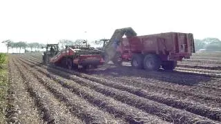 Aardappelsrooien 2011 met Newholland 8340 en T7030 met AMAC AXL2 rooier en vaia kipper