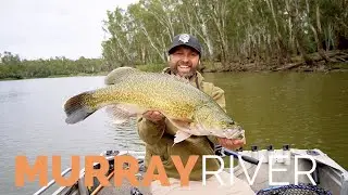 Exploring the MURRAY RIVER for Murray Cod
