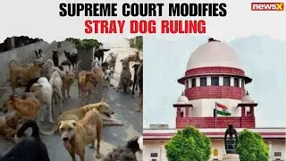 Stray Dog Verdict: Supreme Court Modifies Stray Dog Order, Sets Guidelines, Ashwani Dubey weighs in