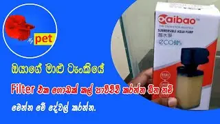 Fish tank Sinhala | Fish tank filter Sinhala | Fish Sinhala