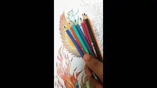 Phoenix🔥🔥Yet to be emerged│Zentangle Colour Pencil Art - 01 │Colour Pencil Art│&nbsp;Art Gallery