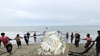 Beach Seine Fishing, Pulling in a HUGE Catch of Fish!
