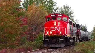 Nice Fall Colours! EMD Geeps Lead CN Local Train 537 on Franklin Spur - Moncton, NB