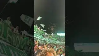 THE PASSION IN COLOMBIA IS DIFFERENT 🇨🇴⚽ #Atl&eacute;ticoNacional #Fortaleza #FanCulture