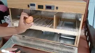 mesin tetas telur + hatcher dalam 1 kotak