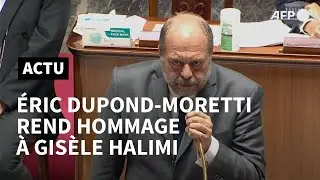 Éric Dupond-Moretti rend hommage à Gisèle Halimi à l'Assemblée nationale | AFP