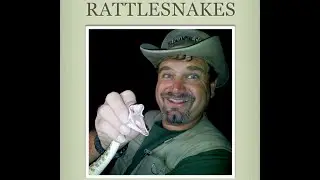 It's A Wild, Wild World With Wildman Phil - Rattlesnakes