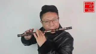 Concert Grade Chinese Purple Bamboo Flute Dizi Instrument with Accessories 笛子