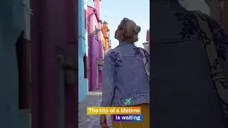 The trip of a lifetime