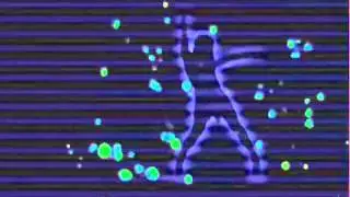 Rino(IO)DJ - I Am Not Your Juke Box (Original Video Edit)
