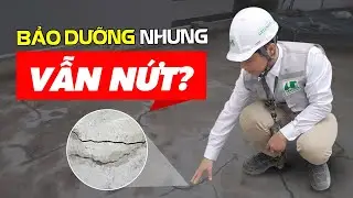 Bảo Dưỡng B&ecirc; T&ocirc;ng M&aacute;i: Sai Lầm Tai Hại Khiến Bạn Mất Cả Tỷ Đồng