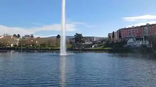 Ensaios de final de ano