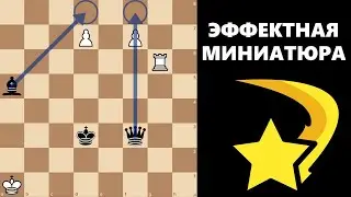 Эффектная миниатюра! #шахматы #chess #этюды #chesspuzzle #мат #миниатюра #study