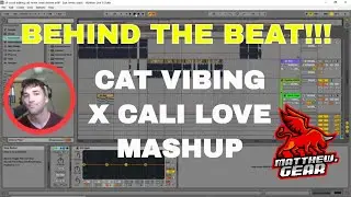 Behind The Beat: Cat Vibing To Ievan Polkka x California Love Mashup