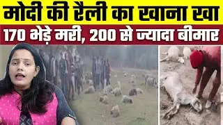 Modi की रैली का खाना खा 170 भेड़े मरी, 200 से ज्यादा बीमार, Bharat Ek Nayi Soch