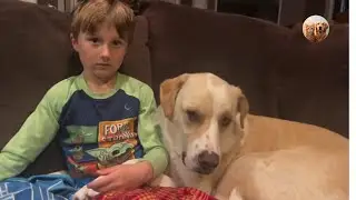 This Special Needs Rescue Dog Has the Sweetest Heart 🥹🐶 | Tails_h2me