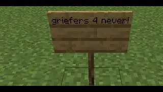 737 i made on minecraft mineplay