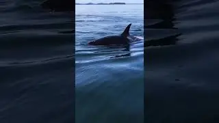 This is Canada