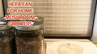 Mushroom HEPA Filter fan on a Budget