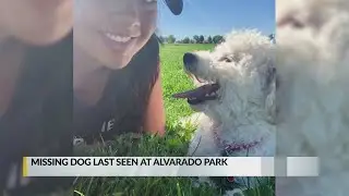 Albuquerque woman loses dog while away for Army training