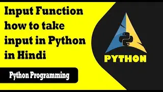 How to take Input in Python in Hindi | Input Function | The Bug Programming