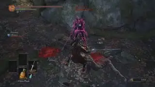 Dark Souls 3 | Defeating Mad Phantom Holy Knight Hodrick