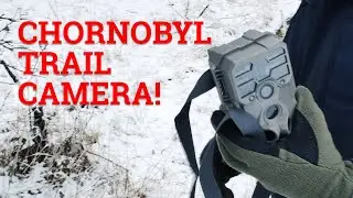 We installed trail cameras in Chornobyl to see what lives there