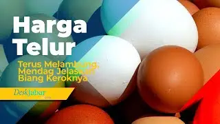 Konsumen Menjerit Harga Telur Terus Melambung, Mendag Jelaskan Biang Keroknya