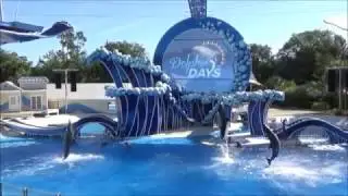 Dolphin Days SeaWorld Orlando Premiere