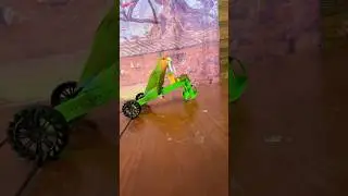 Bird Training :smart lovebird parrot l smart Little Cute parrot❤️#parrot #training #cute
