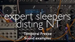 disting NT - Temporal Freeze sound examples