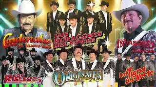 Los Huracanes, Los Originales, Invasores, Cardenales, Los Rieleros ✨ Narco Corridos Legendarias