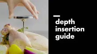 OXO Chef's Precision Leave-In Thermometer
