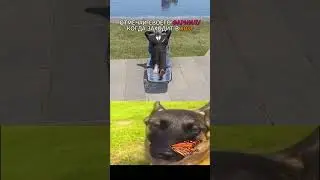 Почему не стоит играть одному в Раст