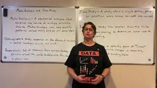 Meta-Analysis and Case Study