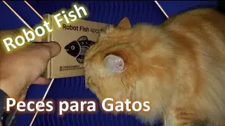 Robot Fish Unboxing - Peces Para Gatos - Juguetes para gatos - #gatopersa