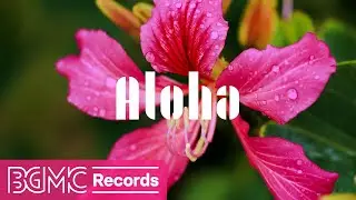 Aloha Hawaiian Music - Beautiful Flowers with Guitar Music, Relaxing Music, Sentimental Music