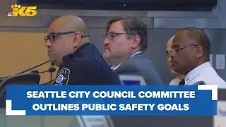 Public safety goals outlined by new Seattle City Council Public Safety Committee