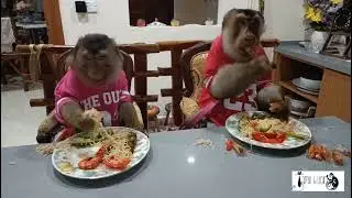 Tonight Dinner Noodle Vege and prawns