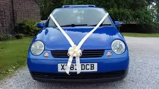 Lupo at Anvil Hall