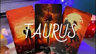 ♉️TAURUS ”Fate” ✨Someone Really Wants This Connection With You; Wanting You To Be Their Partner💞