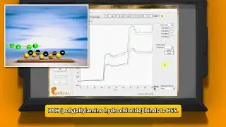 Polyelectrolytes measurements with 210A VASA