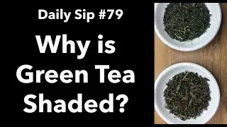 Why are Some Green Teas Shaded Before the Harvest?