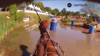 La Cambox Isi3 en Attelage