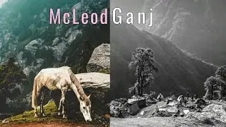 Best Kept Secret of Himachal Pradesh : Mcleodganj Dharamshala 2024 | Himachal Pradesh